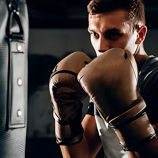 boxing gears