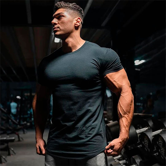 Fitness gears