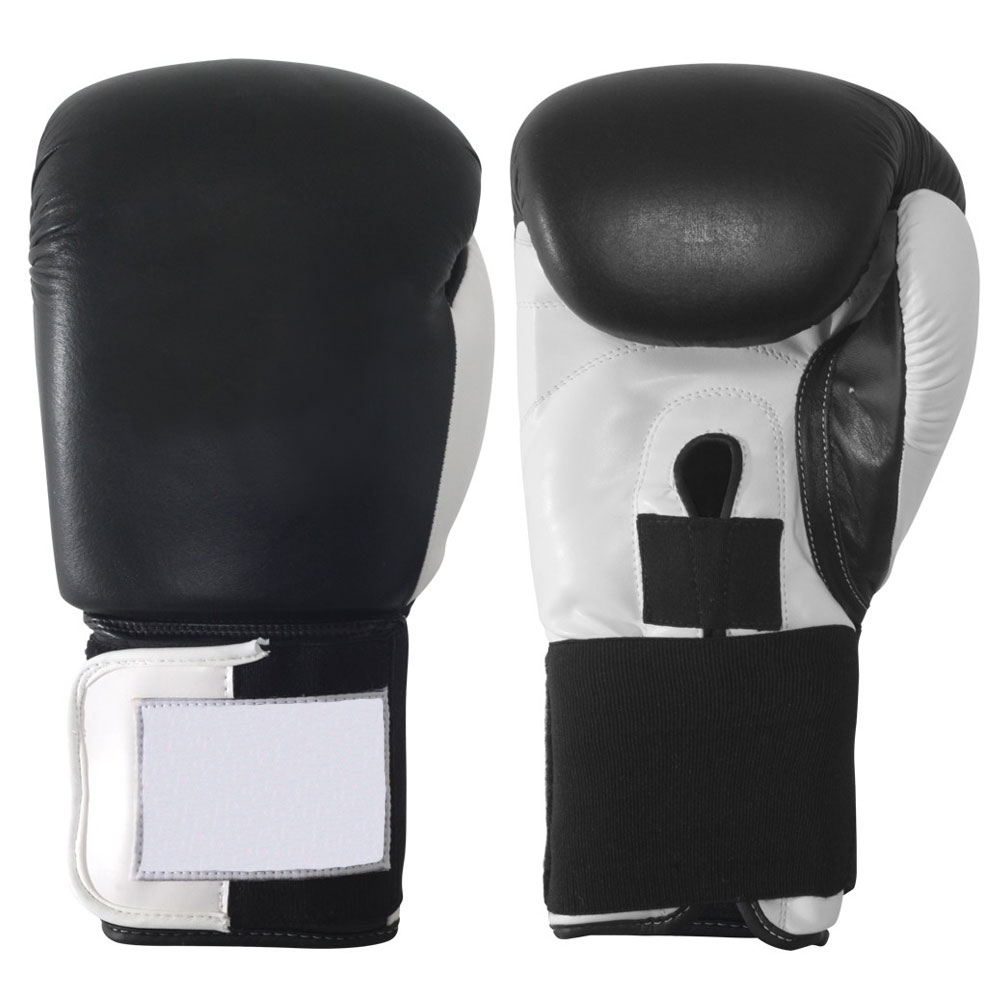 sparringgloves1.jpg