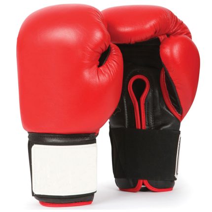 Boxing Sparring Gloves